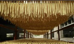 腐竹厂污水处理设备工艺分析